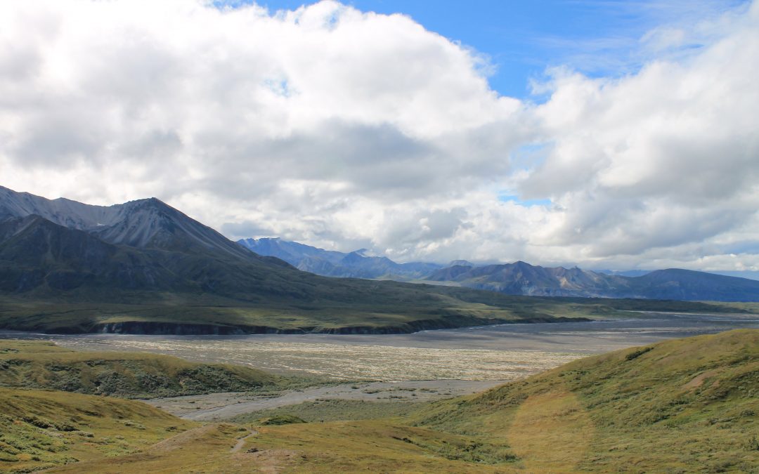 Alaska – Das Abenteuer Wildnis!